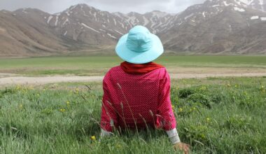 Person sitting on grass field looking at mountains