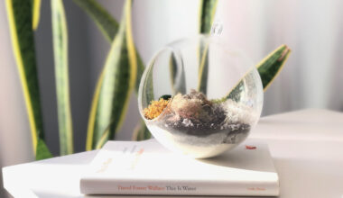 this is water book with plants